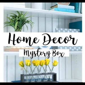 🪴LOADED! LAST ONE!🖼️ Box is STUFFED!🕯️🏡BEAUTIFUL ITEMS!🧸HOME DECOR/MYSTERY BOX